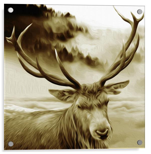 The Deer Acrylic by Paul Robson