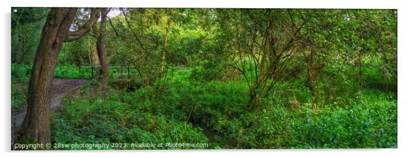 Woodland Serenity - (Panoramic.) Acrylic by 28sw photography