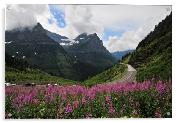 The purple flowers in glacier national park Acrylic by PhotOvation-Akshay Thaker