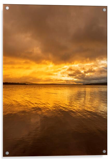 Golden and cloudy sunrise on the lake Acrylic by Vicen Photo
