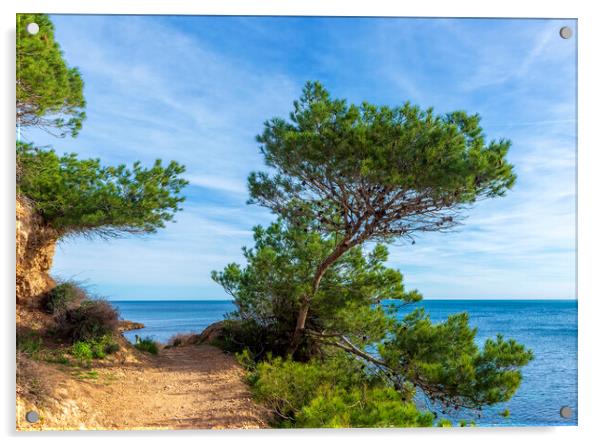 Photography with a path along the Mediterranean Sea in Atmella de Mar Acrylic by Vicen Photo