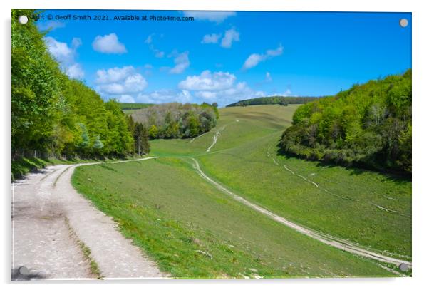 Monarchs Way in South Downs National Park Acrylic by Geoff Smith