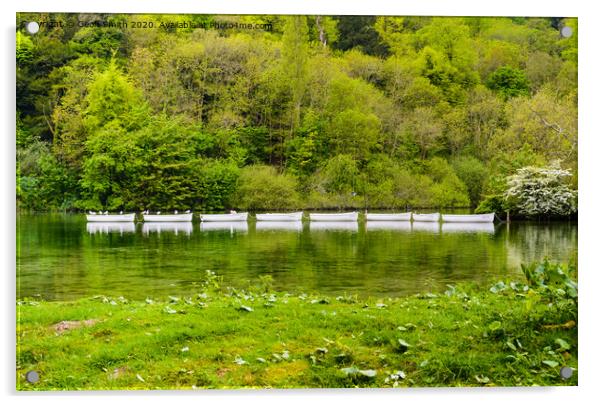 Swanbourne Lake in Arundel Acrylic by Geoff Smith
