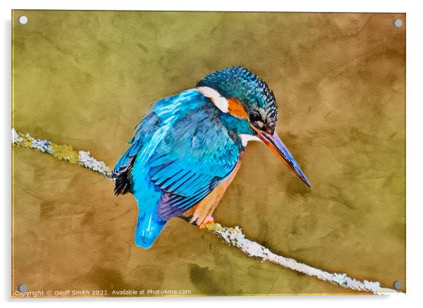 Kingfisher in Winter Painting Acrylic by Geoff Smith
