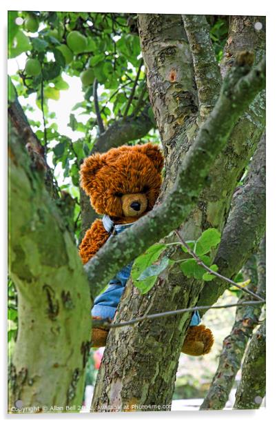 A teddy bear hanging on a tree branch Acrylic by Allan Bell