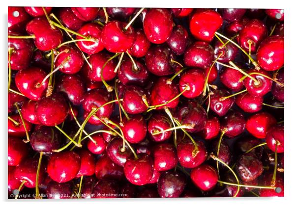 Red Cherries Acrylic by Allan Bell