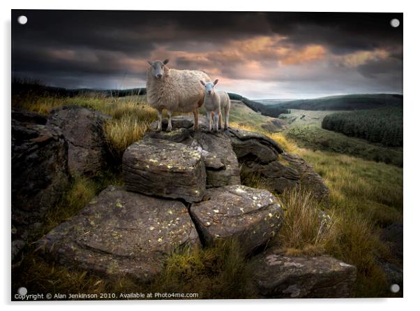 Ruminant Stare near Glyncorrwg, South Wales Acrylic by Alan Jenkinson