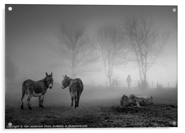 Donkey Sanctuary in the Mist Acrylic by Alan Jenkinson