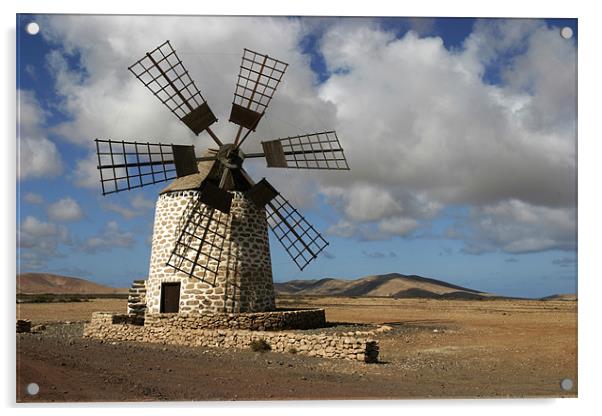 Tefia windmill : Fuerteventura  Acrylic by colin hollywood