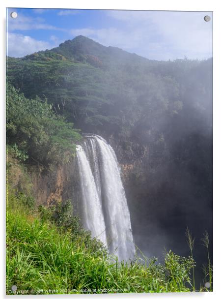 Wailua waterfalls on Kauai Acrylic by Jeff Whyte