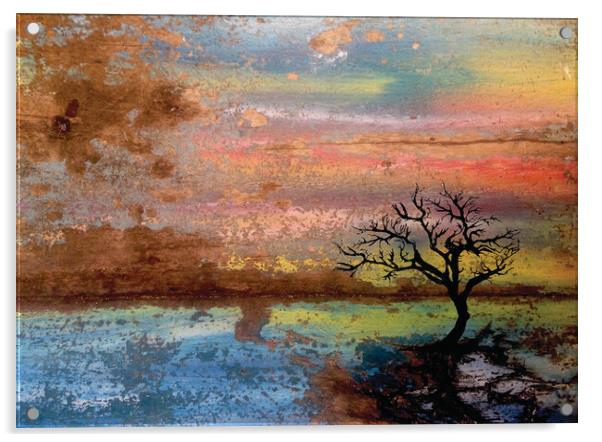 Tree At Sunset Acrylic by Robert Fennah