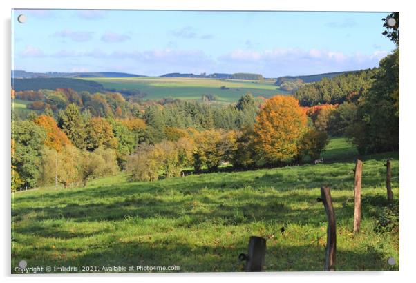 Belgian Ardennes Autumn Landscape Acrylic by Imladris 