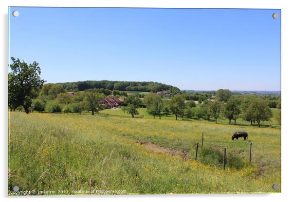 Flemish Pajottenland, Landscape View Summer Acrylic by Imladris 