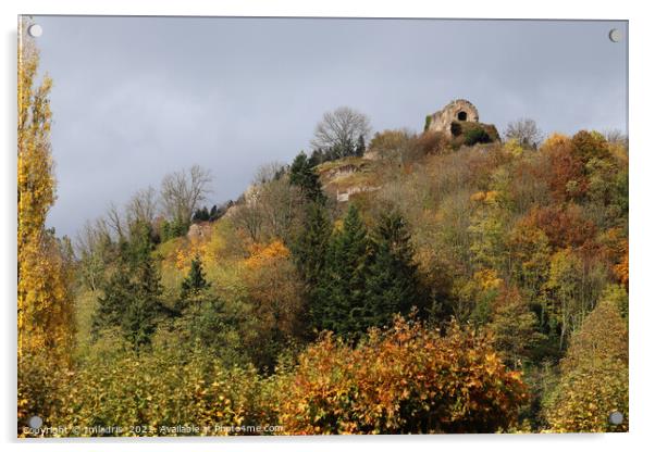 Thann in Autumn, Alsace, France Acrylic by Imladris 
