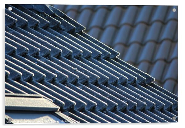 Frosted Rooftiles Abstract Linear Pattern Acrylic by Imladris 