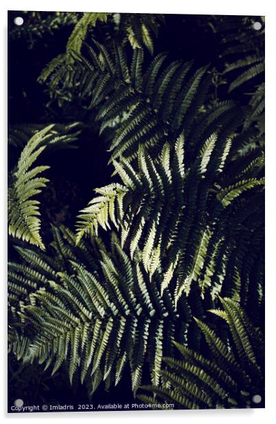 Dark Green Fern Leaves Botanic Acrylic by Imladris 