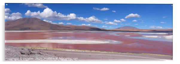 Colorful Red Lake, Laguna Colorada, Bolivia Acrylic by Imladris 