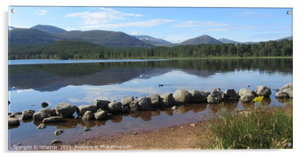 Lovely Loch Morlich, near Aviemore, Scotland Acrylic by Imladris 