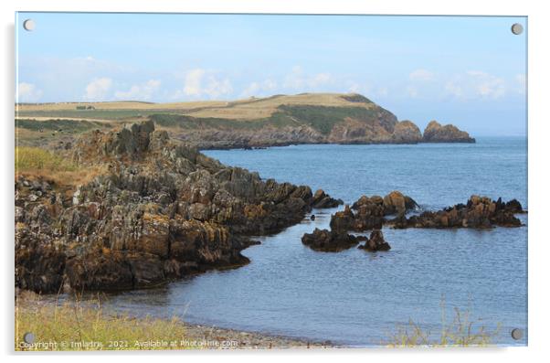 Isle Head View, Isle of Whithorn, Scotland Acrylic by Imladris 