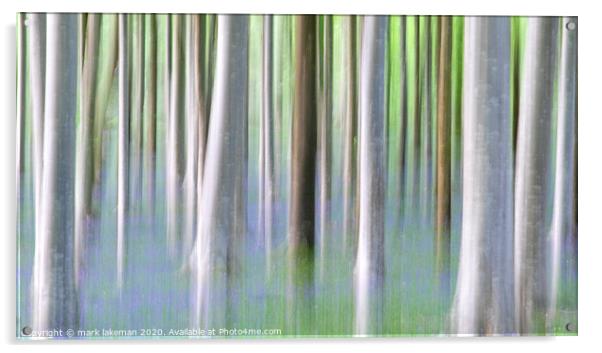 Bluebell Woodland  Acrylic by mark lakeman