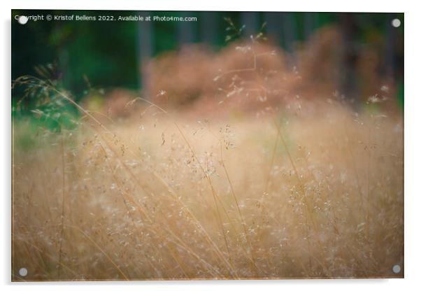 Close-up of Deschampsia flexuosa, commonly known as wavy hair-grass. Acrylic by Kristof Bellens