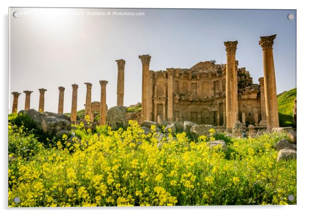 View on the Roman ruins of Nymphaeum at Gerasa, Jerash, Jordan Acrylic by Kristof Bellens