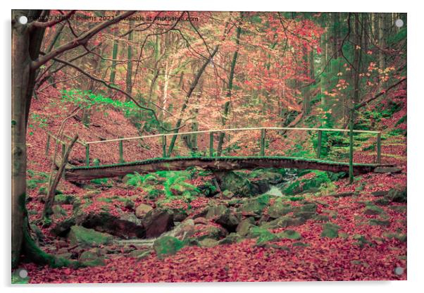 Foot bridge over a creek in the forest during a hike in autumn. Acrylic by Kristof Bellens