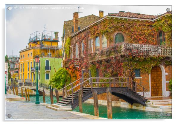 Travel and tourism in Venice: colorful canal houses Acrylic by Kristof Bellens