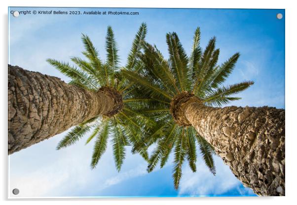 Low angle view on two palm trees shot directly into the sun. Acrylic by Kristof Bellens