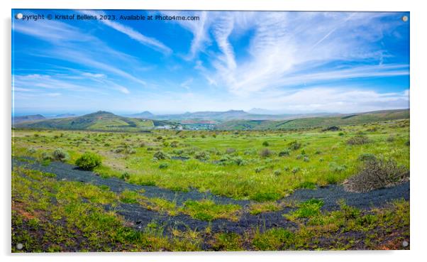 View on Los Valles valley on Lanzarote during springtime. Acrylic by Kristof Bellens