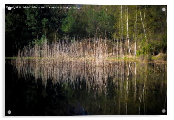 Reed field with reflection in a pond in a forest. Acrylic by Kristof Bellens
