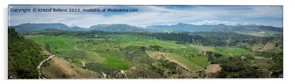 Panoramic view on the pastures and landscape in Ronda, Andalusia surroundings. Acrylic by Kristof Bellens