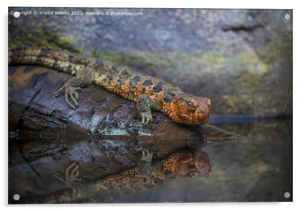 Close-up shot of Chinese crocodile lizard near water Acrylic by Kristof Bellens