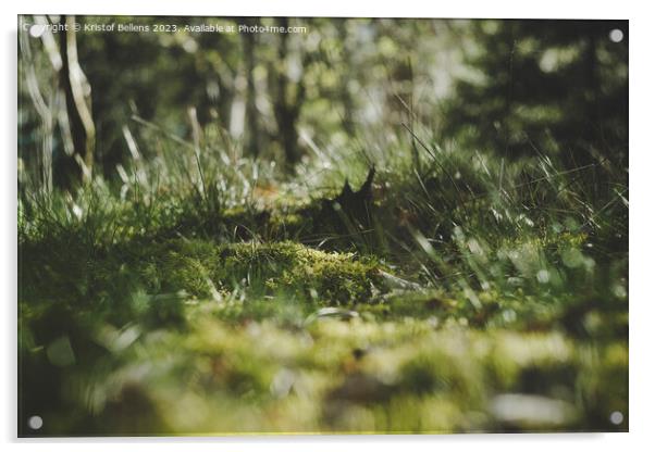 Low angle shot of moss field and grass surface in the forest. Acrylic by Kristof Bellens