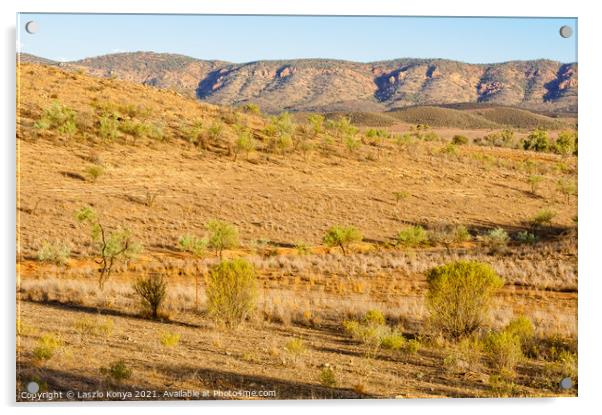 View from Rawnsley Lookout - Flinders Ranges  Acrylic by Laszlo Konya