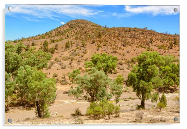 Dry creek bed - Wilpena Pound Acrylic by Laszlo Konya