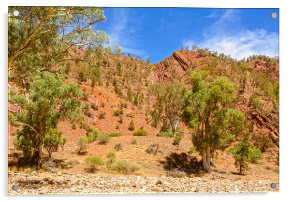 Brachina Gorge - Wilpena Pound Acrylic by Laszlo Konya