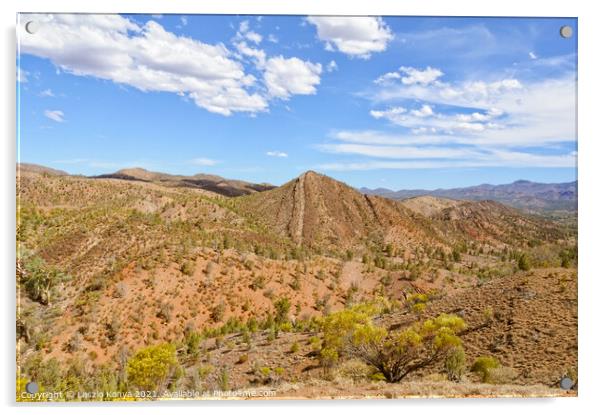 View from the Bunyeroo Valley Lookout - Wilpena Pound Acrylic by Laszlo Konya