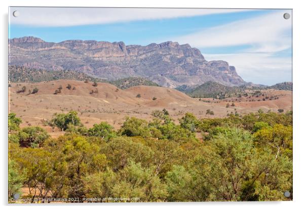 Heysen Range - Wilpena Pound Acrylic by Laszlo Konya