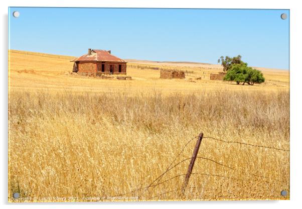 Abandoned farmhouse - South Australia Acrylic by Laszlo Konya