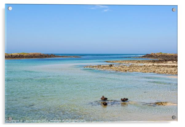 Shallow water - Port Fairy Acrylic by Laszlo Konya