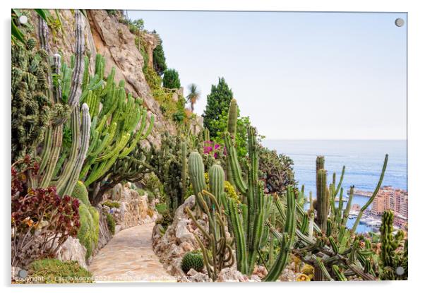 Cacti and other succulents - Monaco Acrylic by Laszlo Konya