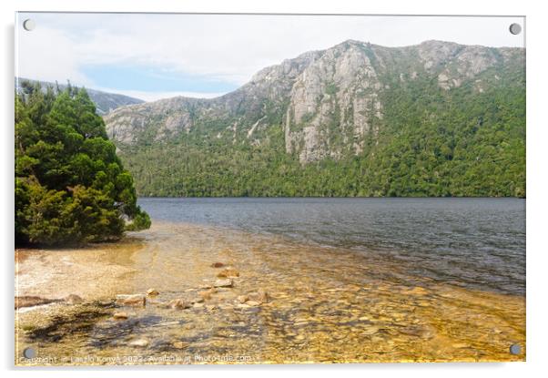 Dove Lake - Cradle Mountain Acrylic by Laszlo Konya