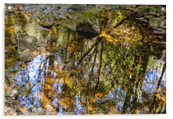 Reflection in the Nelson River - Tasmania Acrylic by Laszlo Konya