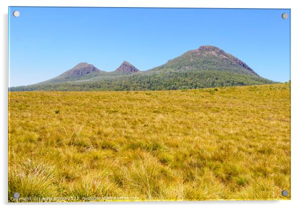 King William Range - Tasmania Acrylic by Laszlo Konya