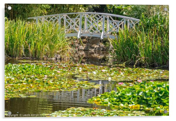 Footbridge over the Lily Pond - Hobart Acrylic by Laszlo Konya