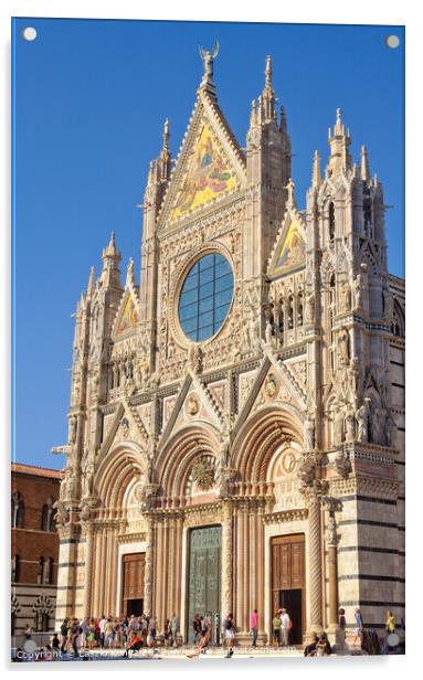 West Façade of the Duomo - Siena Acrylic by Laszlo Konya