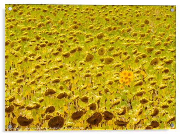 Sunflower field - Rabe de las Calzadas Acrylic by Laszlo Konya