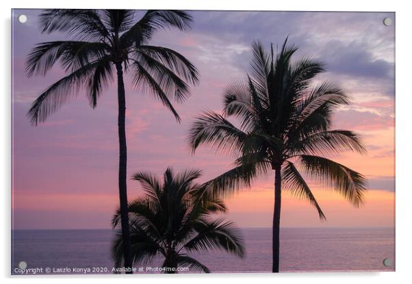 Palm trees - Big Island Acrylic by Laszlo Konya