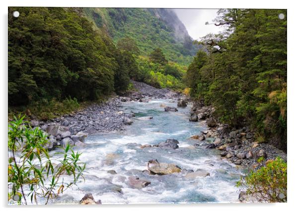 Creek - Fiordland National Park Acrylic by Laszlo Konya